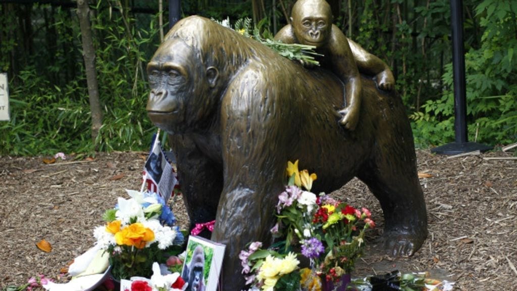 La madre del niño que cayó al recinto del gorila que mataron en Cincinnati no enfrentará cargos