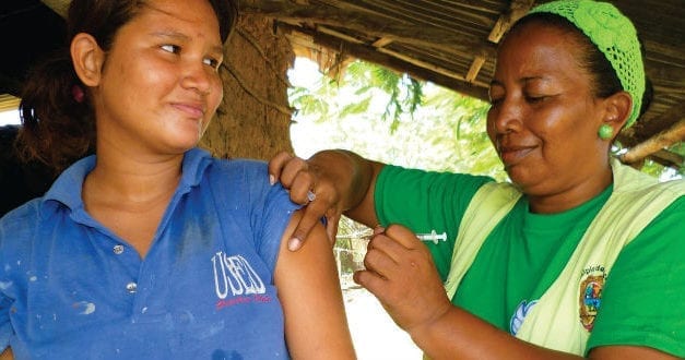 Brasil, en alerta por propagación de fiebre amarilla