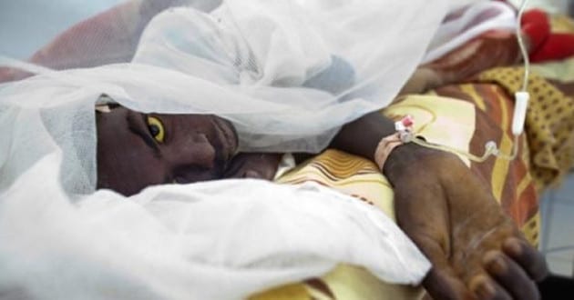 Bolivia reporta caso de Fiebre Amarilla, el primero en una década