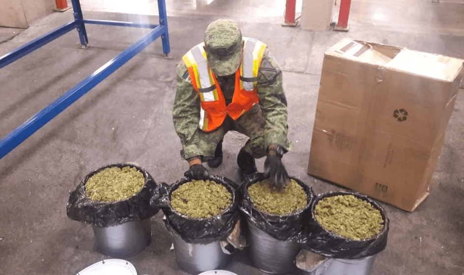 DECOMISAN 15 KILOS DE MARIGUANA EN EL AEROPUERTO DE SLP