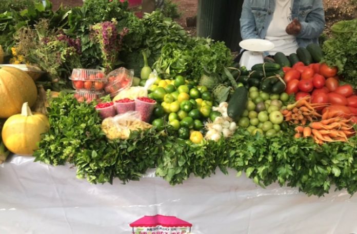Bajan por tercer mes consecutivo precios mundiales de alimentos: FAO