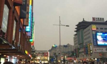 Prospera la economía de la soledad en China