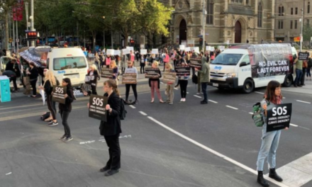 Veganos reciben multa por obstruir calles en Melbourne