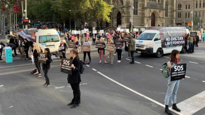 Veganos reciben multa por obstruir calles en Melbourne
