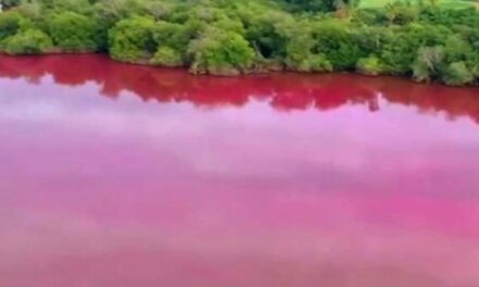 ¿Por qué se pintó de rosa laguna en Oaxaca?