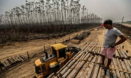 Deforestación en la Amazonía aumentó en un 30 por ciento
