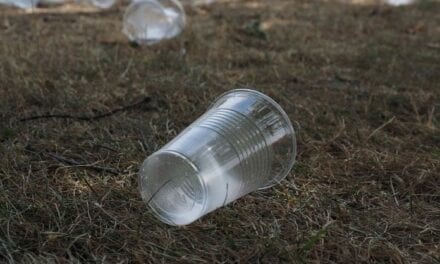 urgen a México ratificar prohibición internacional de plásticos