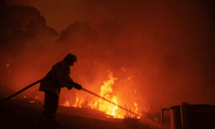 Arde “mega incendio” en norte de Sydney