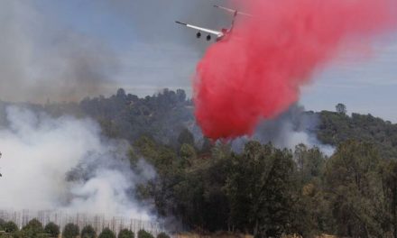 Al menos 79 grandes incendios arden en 11 estados