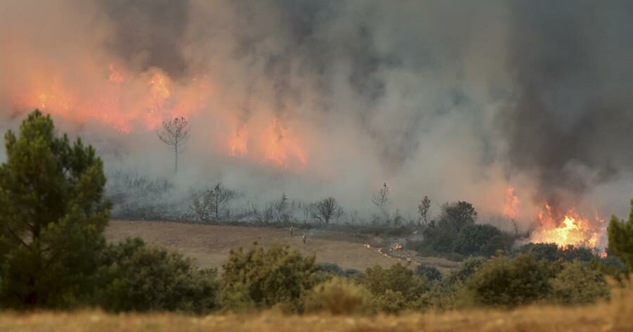 UE asiste a España y otros cuatro países afectados por incendios forestales