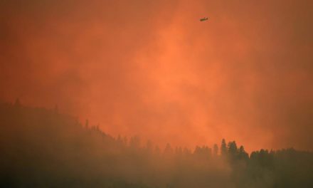 Un nuevo incendio cerca del parque de Yosemite afecta a unas 1.700 hectáreas