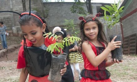 Expertos piden incluir la acción climática en toda la educación formal