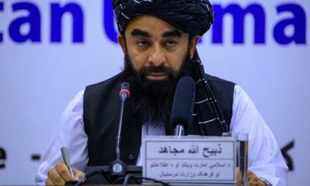 Talibanes condenan el ataque en Kabul que mató al líder de Al Qaeda