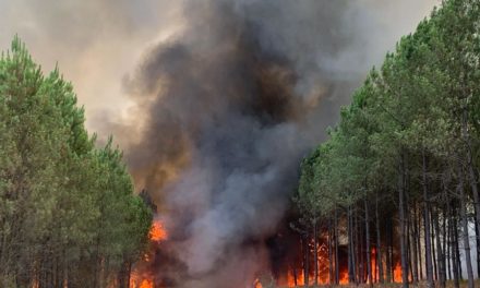 Una oleada de incendios arrasa miles de hectáreas en Francia