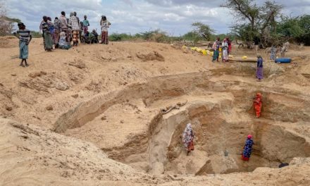 La peor sequía en 40 años golpea a millones de estómagos en el Cuerno de África