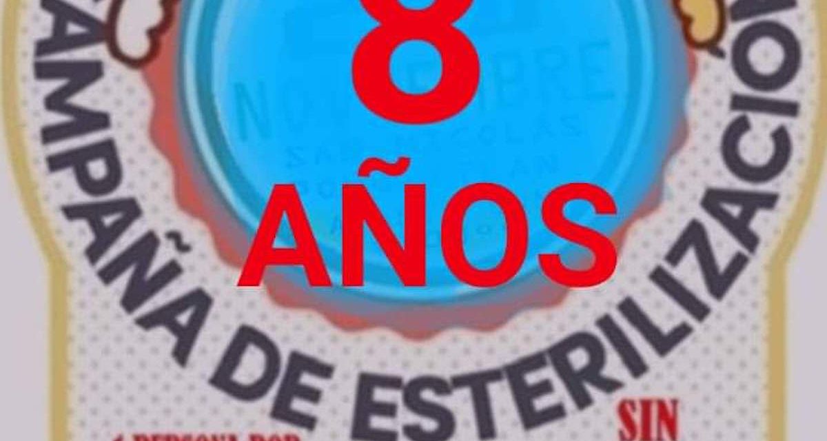 Cumplen ocho años campañas de esterilización en San Juan del Río
