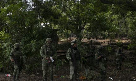 Ejército mexicano destruye campamentos del narco en la frontera c…