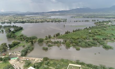 Advierten crisis en el campo de Querétaro por sequía en presas y…