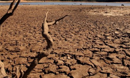 Alerta CONAGUA de sequía severa en Querétaro