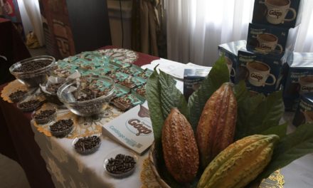 Bolivia quiere revalidar su sitial entre los mejores cacaos del m…