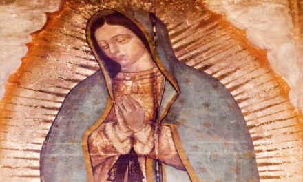 Cancelan conferencia de la Virgen de Guadalupe en San Juan del Rí…