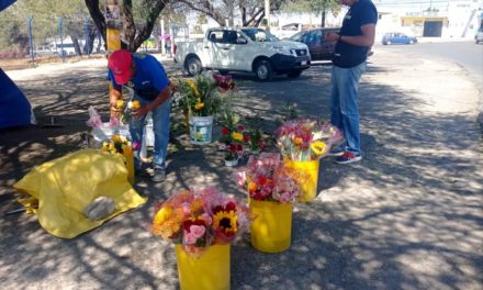 Venta de flores de temporada con bajas expectativas en San Juan d…