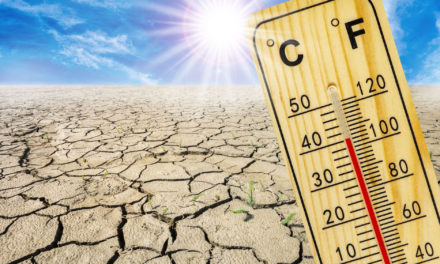 Jornada estatal contra el cambio climático en Querétaro