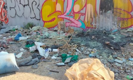 Denuncian tiradero de basura en zona oriente de San Juan del Río