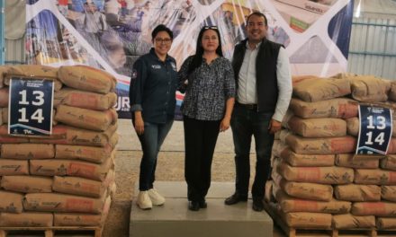 Benefician con cemento a colonias y comunidades de San Juan del R…