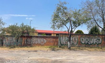 Ciudadanos piden trabajar para prevenir graffiti en San Juan del…