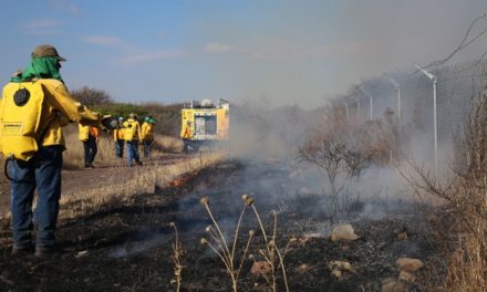 Se organizan para prevenir incendios forestales en Querétaro