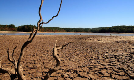 Sequía severa persiste en municipios de Querétaro por falta de ll…