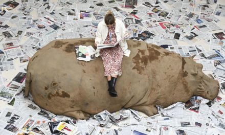 El arte visual colaborativo de Allora y Calzadilla desemboca en e…