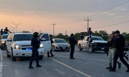 Los Carteles de Drogas en México: Estados de Mayor Presencia