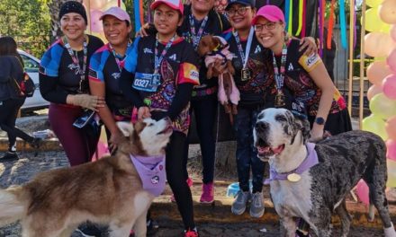 Preparan segunda carrera canina en San Juan del Río