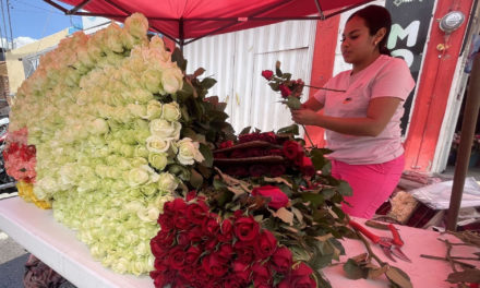 Se ‘marchita’ venta de rosas por Día de las Madres en San Juan de…
