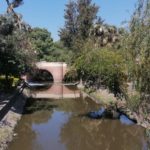 Inician proyecto de saneamiento del río Querétaro