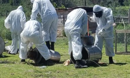 Desmantelan narcolaboratorio clandestino en San Pablo, Tlaxcala