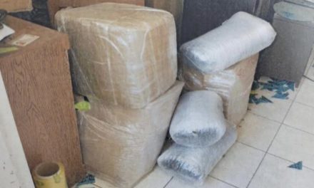 Encuentran paquetes con marihuana tras cateo en inmueble de Tlajo…