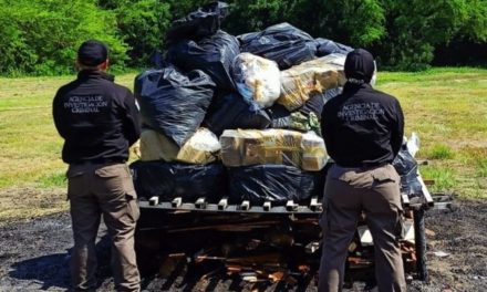 Incineran más de una tonelada de drogas en Tapachula, Chiapas