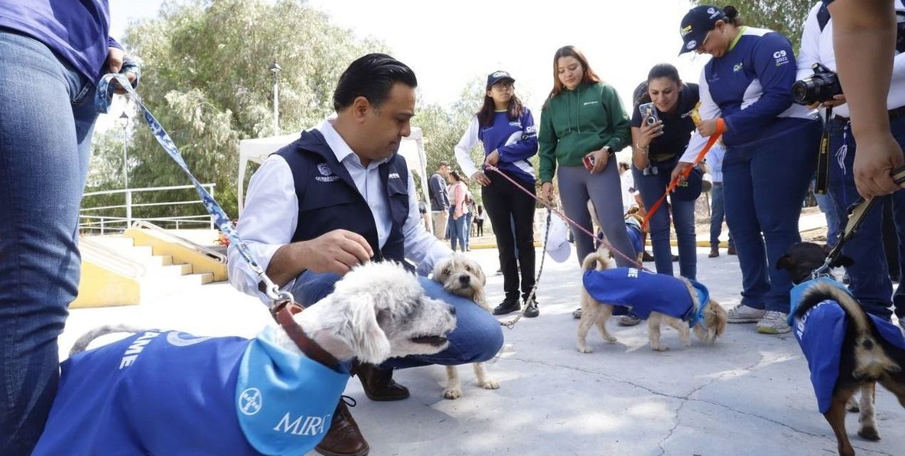 Luis Nava promueve la tenencia responsable de mascotas en Queréta…