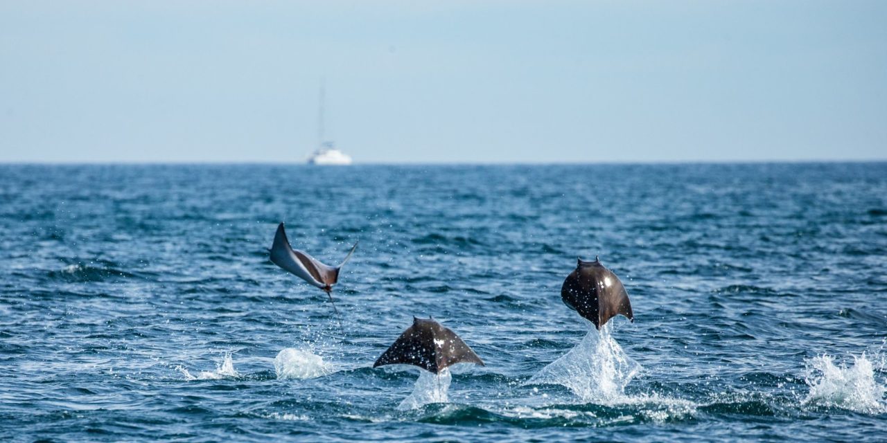 Festival de Pueblos Mágicos del Mar de Cortés: Un encuentro cultu…