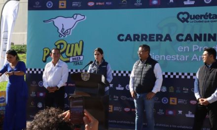 Querétaro se prepara para la tercera carrera canina P-Run 2023