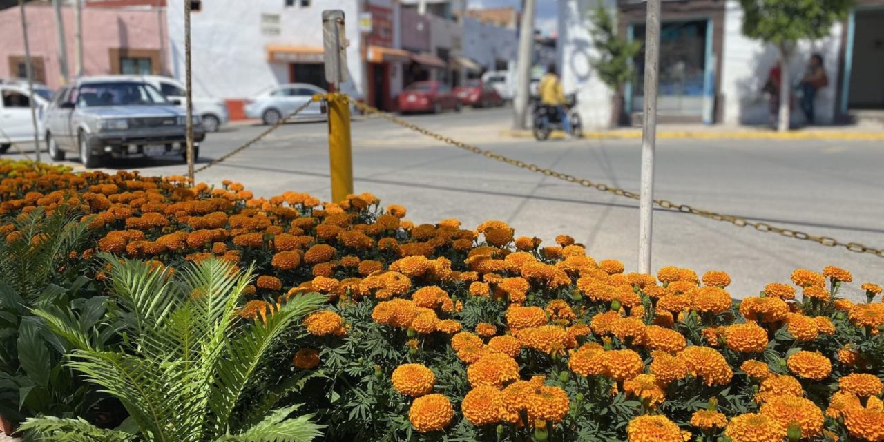 Comercios en San Juan del Río anticipan ventas para Día de Muerto…