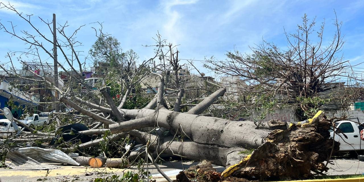 Ayuda a damnificados por huracán Otis: Acapulco te necesita