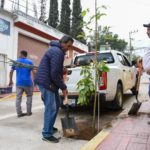 Implementan jornada de reforestación en espacios públicos de Jalp…