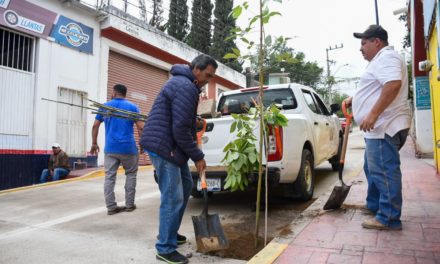 Implementan jornada de reforestación en espacios públicos de Jalp…