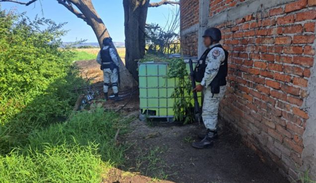 Localizan tomas clandestinas y aseguran combustible en Guanajuato