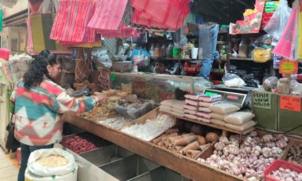 Mercados locales en San Juan del Río experimentaron bajas ventas…