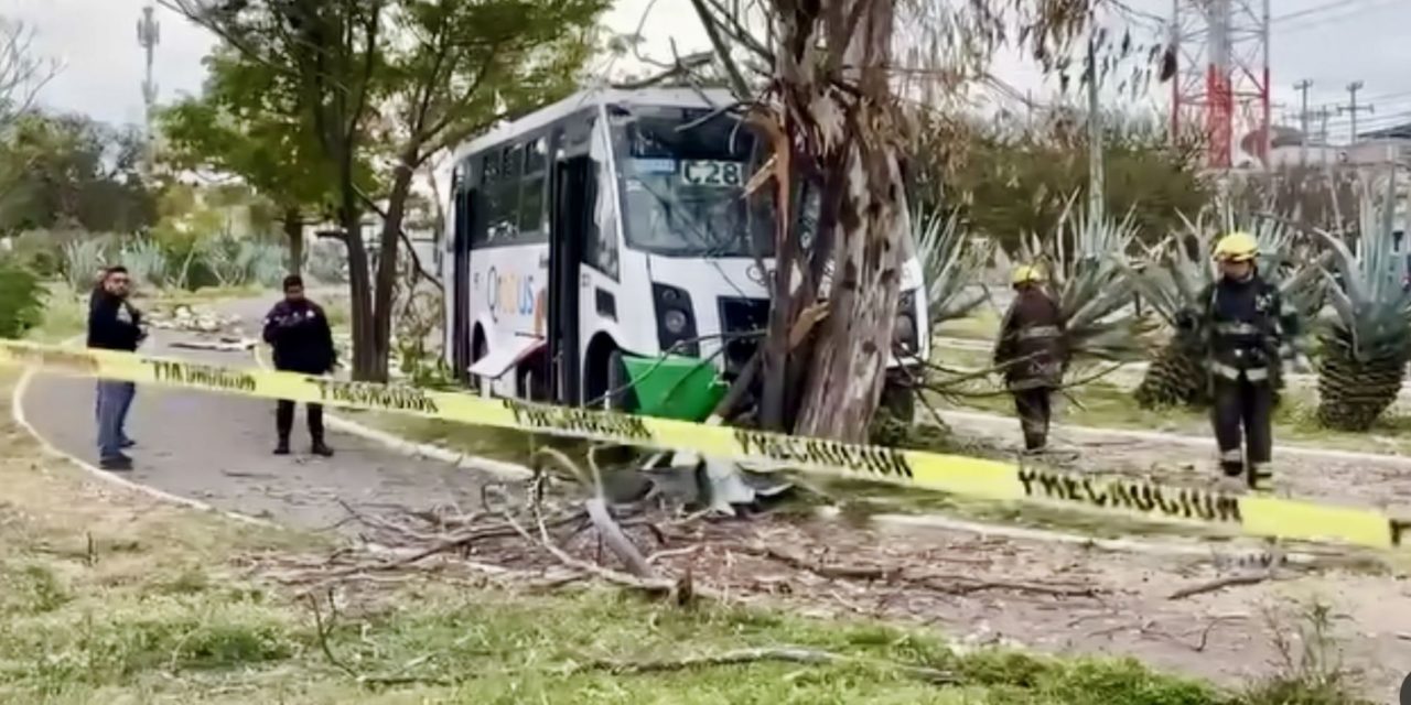 Transporte Qrobús se impacta contra árbol en Avenida del Parque